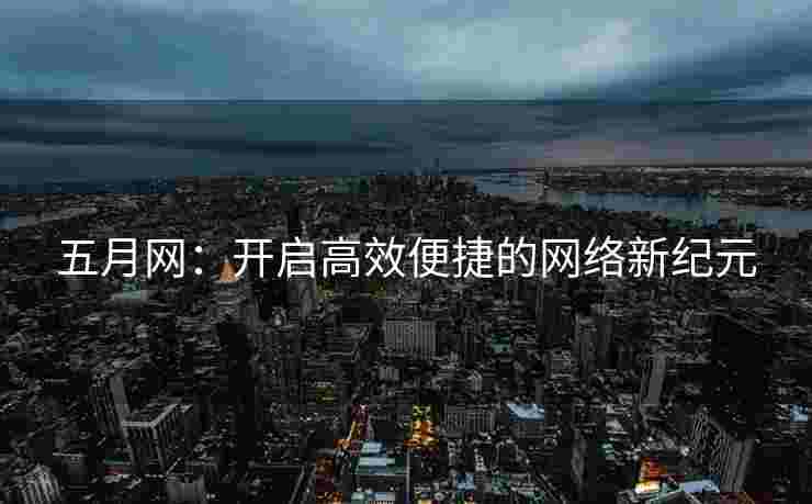 五月网：开启高效便捷的网络新纪元