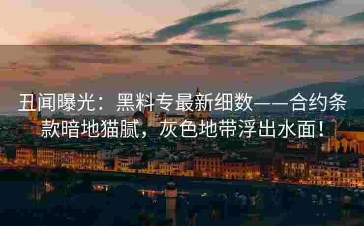 丑闻曝光：黑料专最新细数——合约条款暗地猫腻，灰色地带浮出水面！
